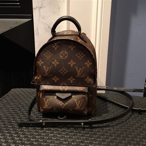 louis vuitton palm springs backpack mini|lv backpack mini price.